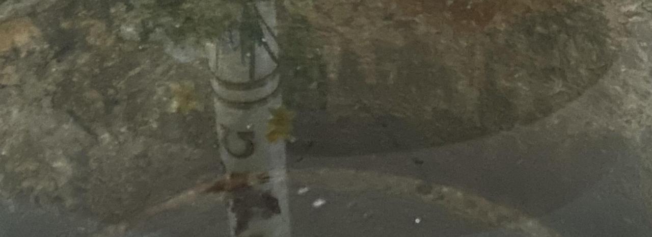 61584049-c22d-421c-8209-ff6e523e8857_by_Sylvio_Krueger_pfarrbriefservice