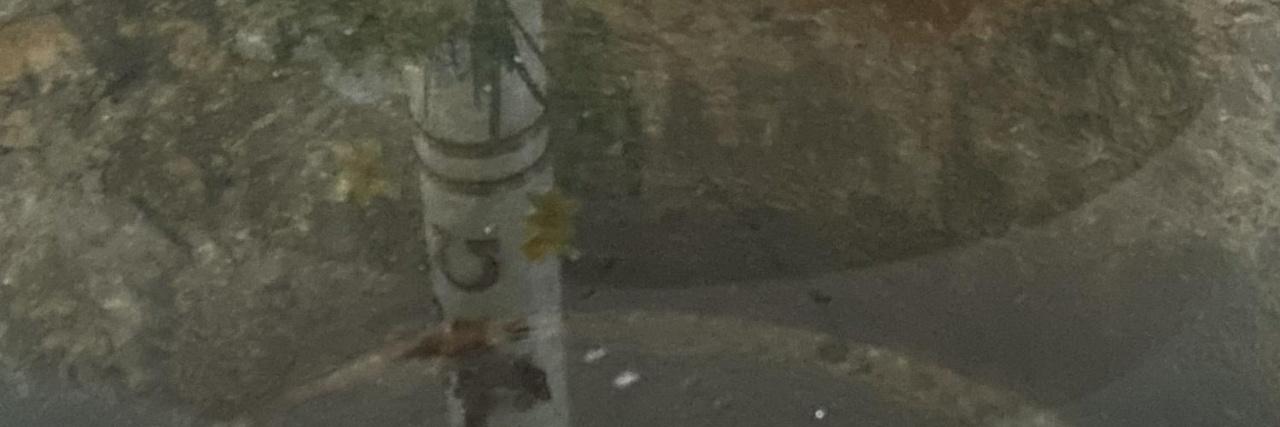 61584049-c22d-421c-8209-ff6e523e8857_by_Sylvio_Krueger_pfarrbriefservice