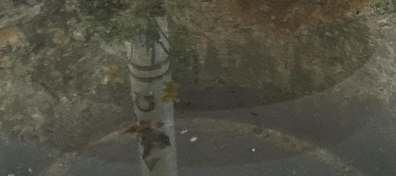 61584049-c22d-421c-8209-ff6e523e8857_by_Sylvio_Krueger_pfarrbriefservice