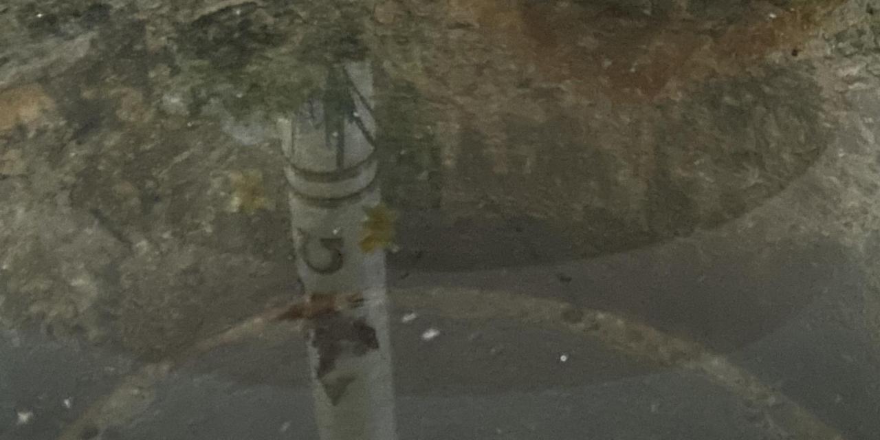 61584049-c22d-421c-8209-ff6e523e8857_by_Sylvio_Krueger_pfarrbriefservice