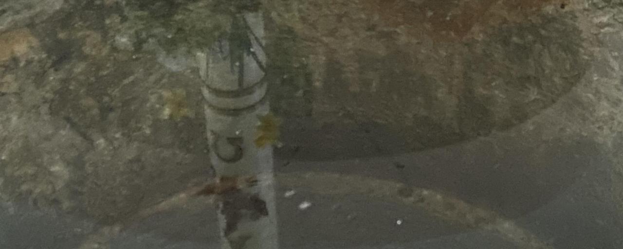 61584049-c22d-421c-8209-ff6e523e8857_by_Sylvio_Krueger_pfarrbriefservice