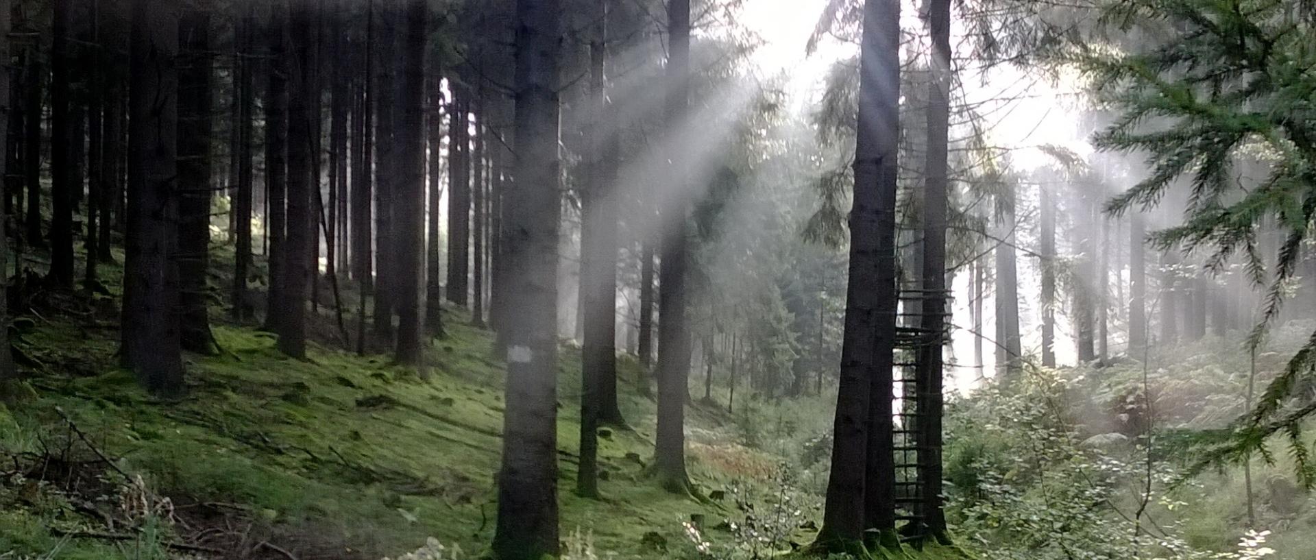 Morgengebete 2026 in Bechen