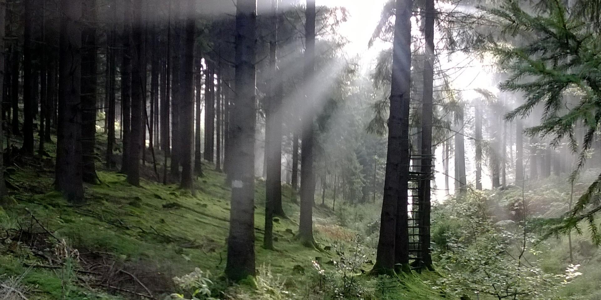 Morgengebete 2026 in Bechen