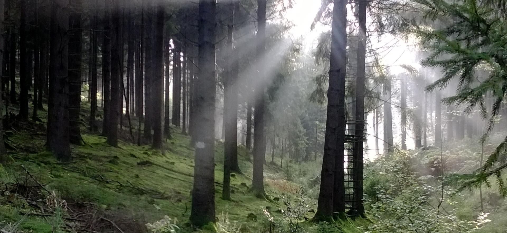 Morgengebete 2026 in Bechen