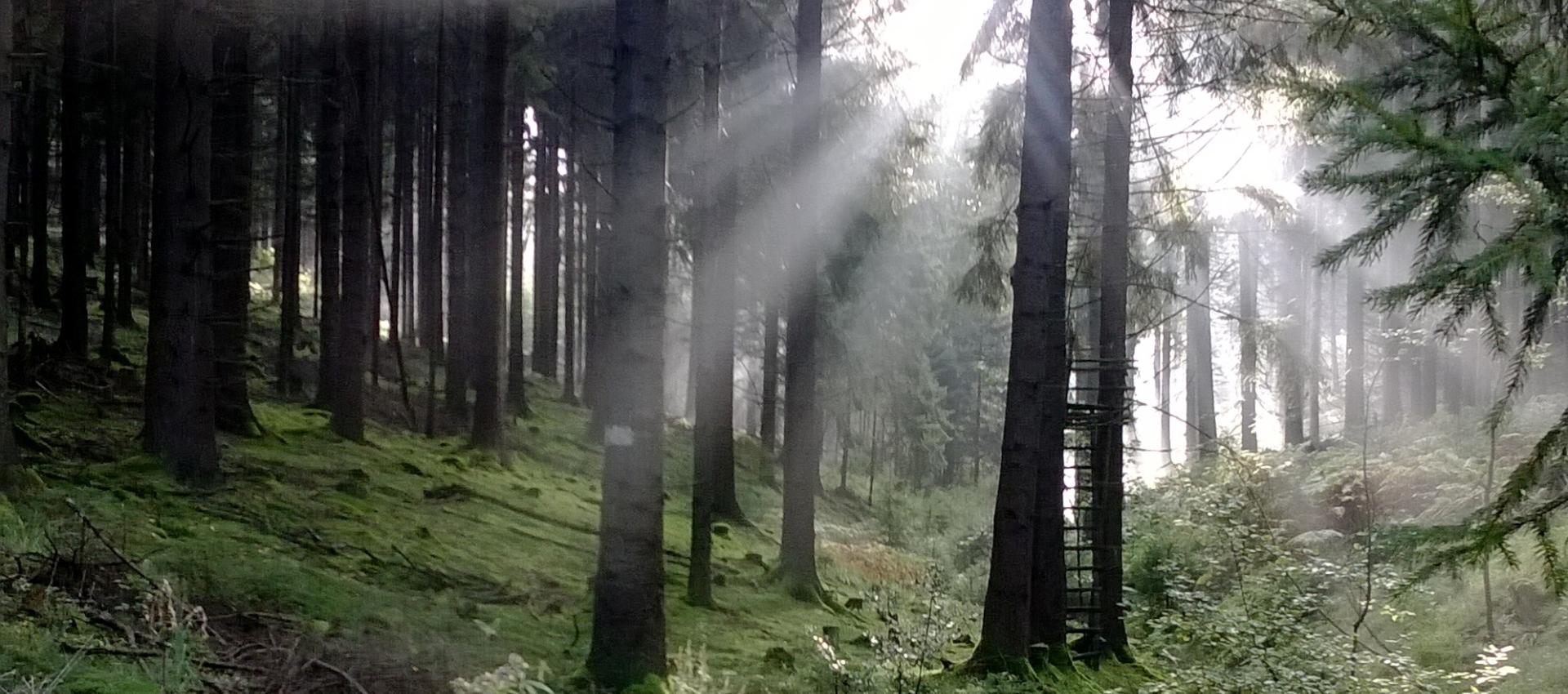 Morgengebete 2026 in Bechen