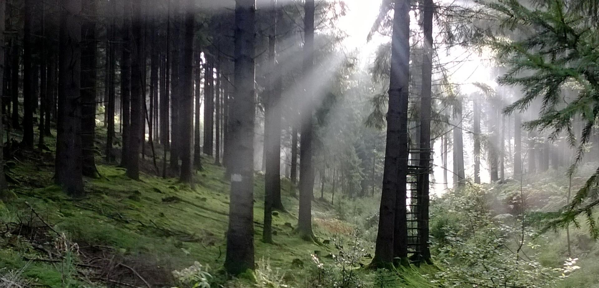 Morgengebete 2026 in Bechen