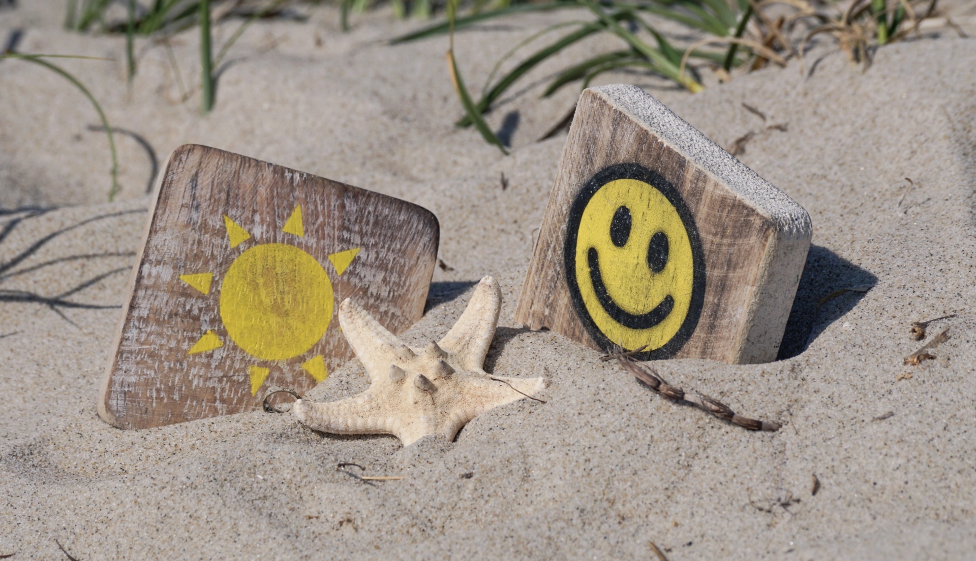 sun-3612964_by_0-0-0-0_pixabay_pbs